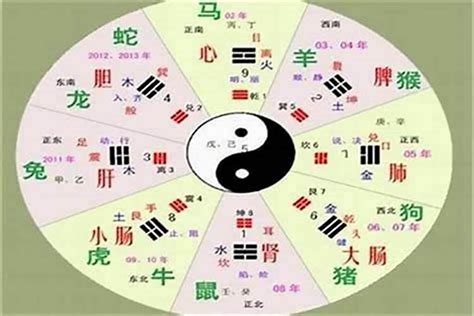 姍 五行|姍字的五行属性